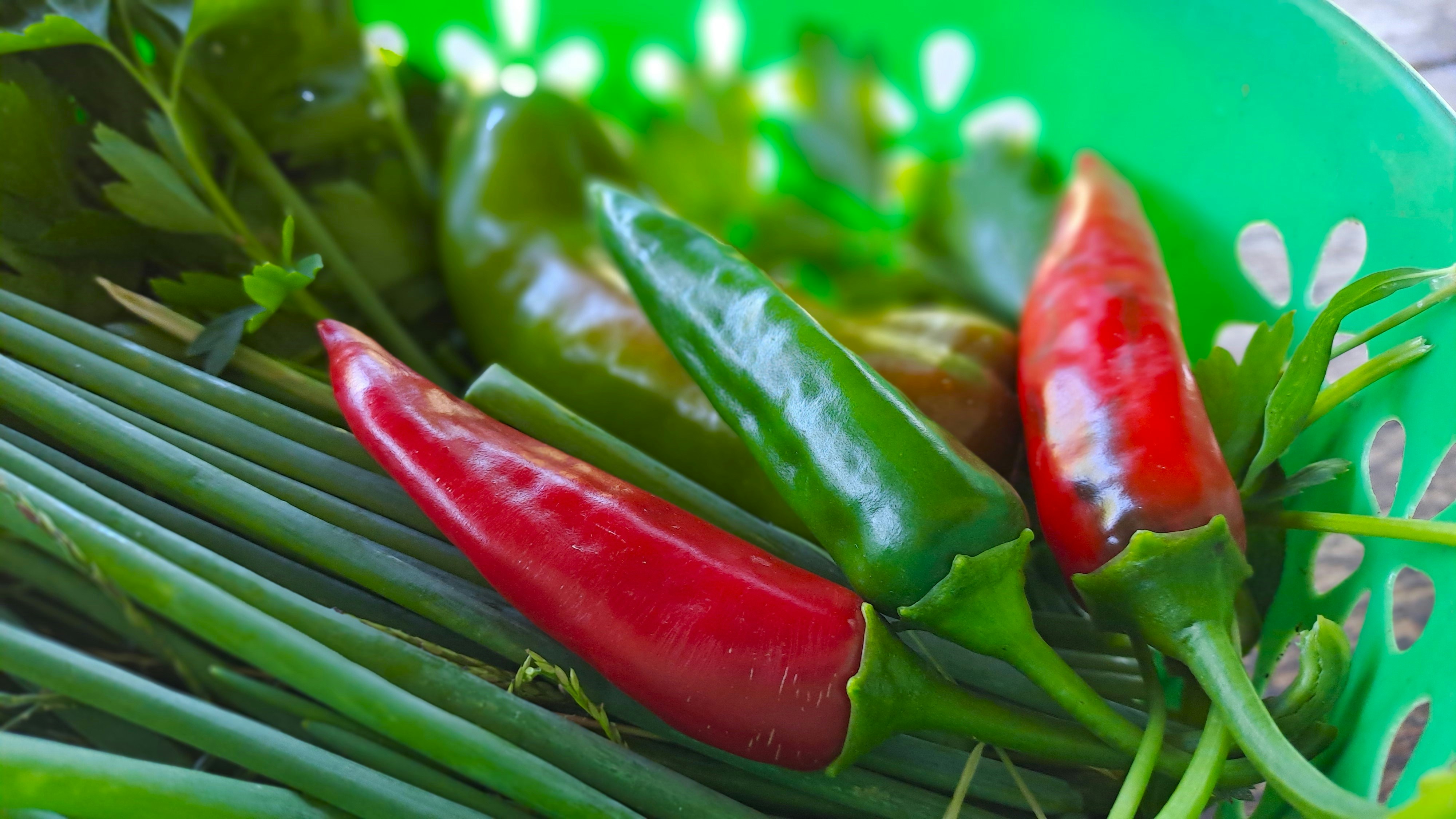 Fresh red and green chilies with herbs in a green bowl
