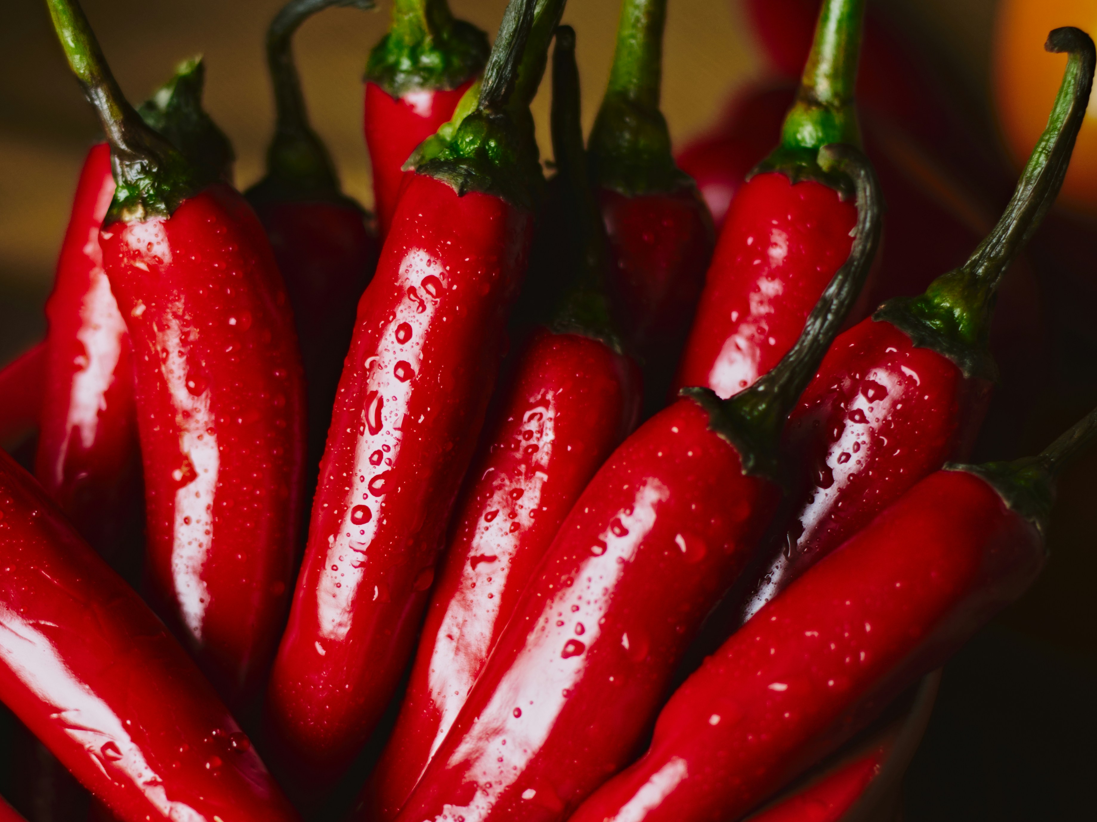 Premium red chilies glistening with water droplets